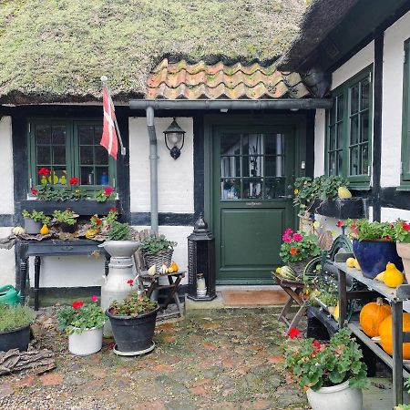 The Foresters House- Idyllic Tranquility- Non Smokers Only Store Heddinge Exterior photo