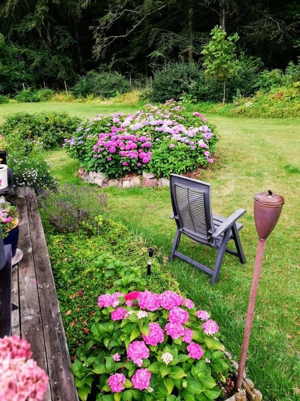 The Foresters House- Idyllic Tranquility- Non Smokers Only Store Heddinge Exterior photo