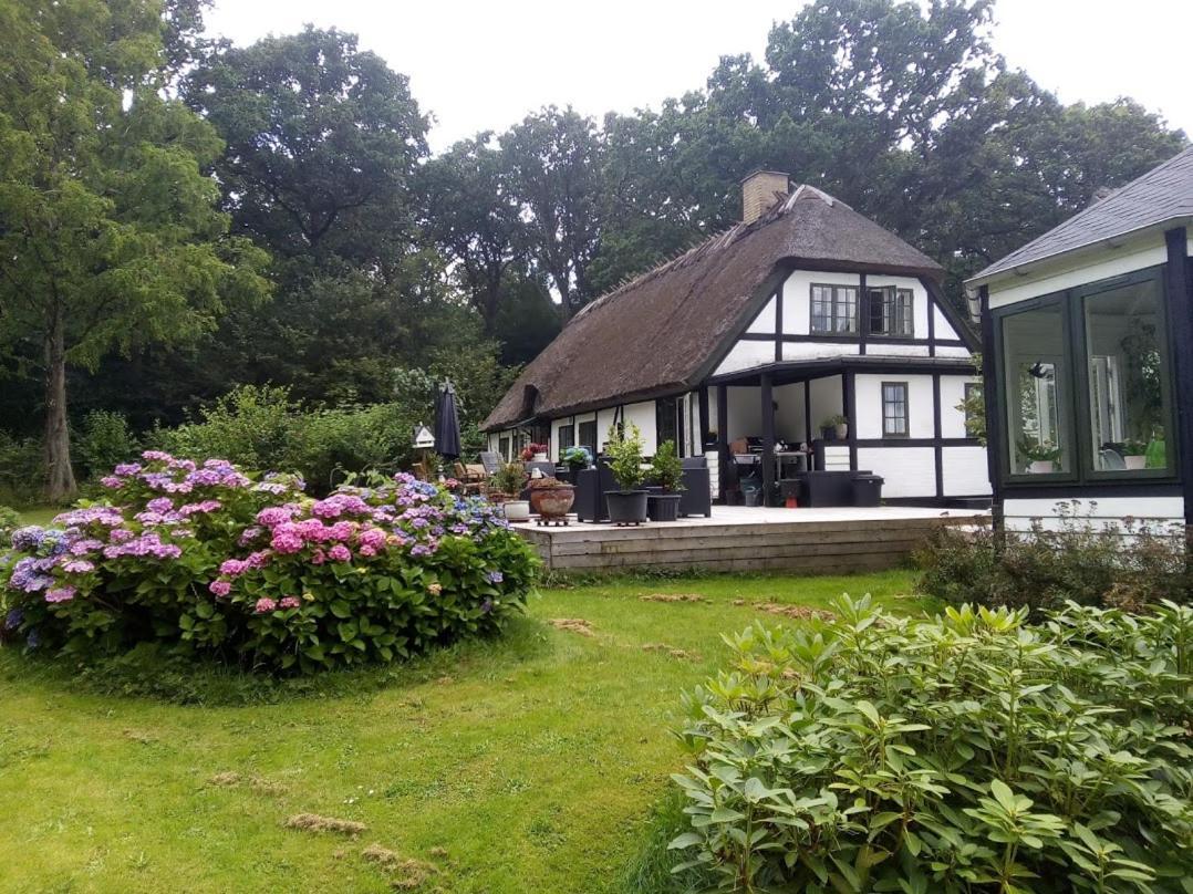 The Foresters House- Idyllic Tranquility- Non Smokers Only Store Heddinge Exterior photo