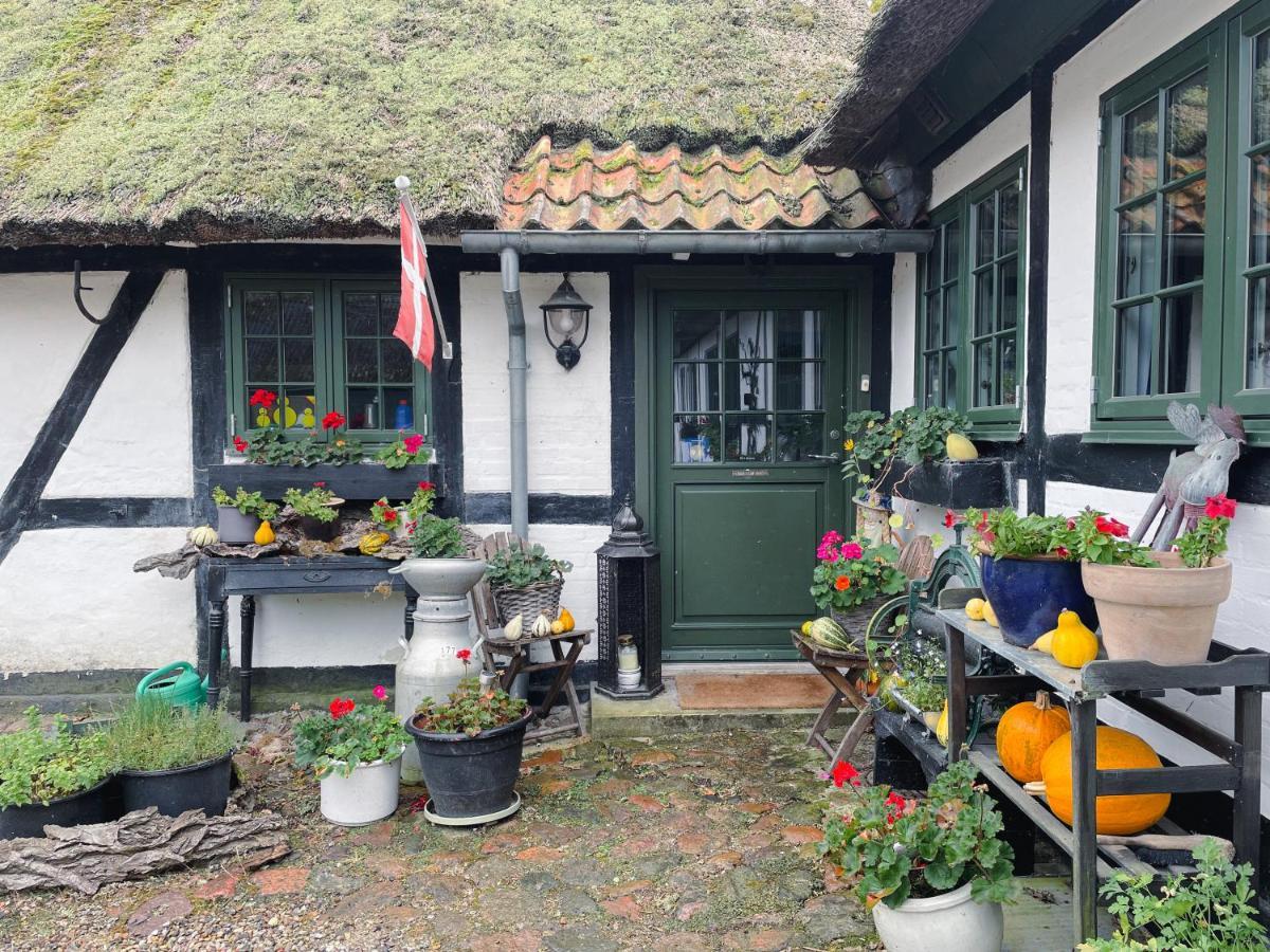 The Foresters House- Idyllic Tranquility- Non Smokers Only Store Heddinge Exterior photo