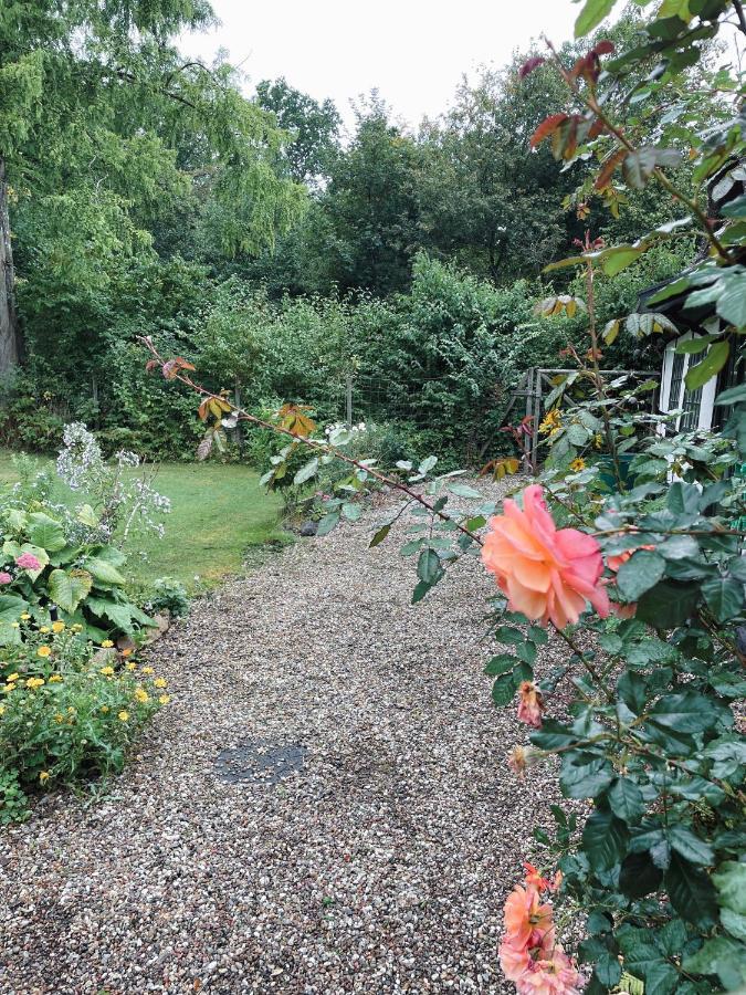 The Foresters House- Idyllic Tranquility- Non Smokers Only Store Heddinge Exterior photo